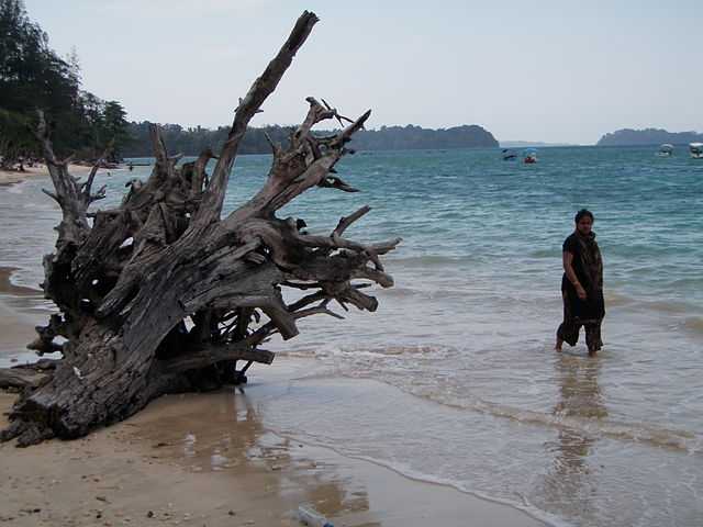 Photos Of Mahatma Gandhi Marine National Park Images And Pics Andaman