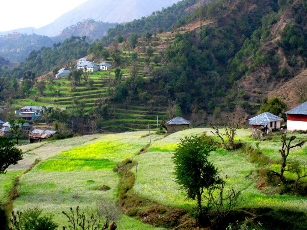 Trekking Banned In Kangra Valley, Himachal Pradesh. Here's Why