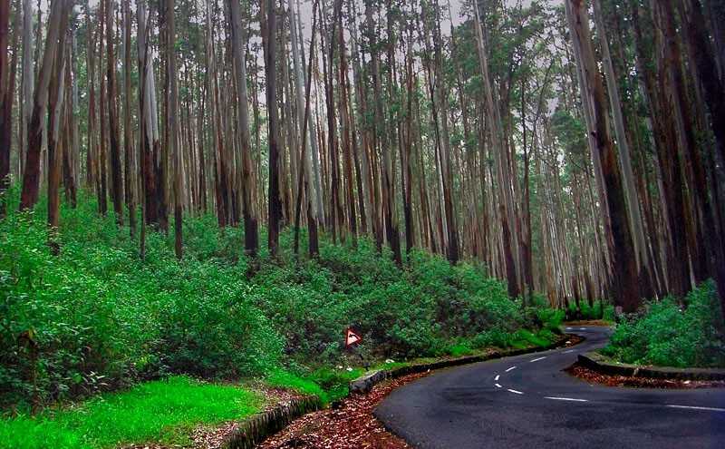 Kodaikanal - Green Haven Tours